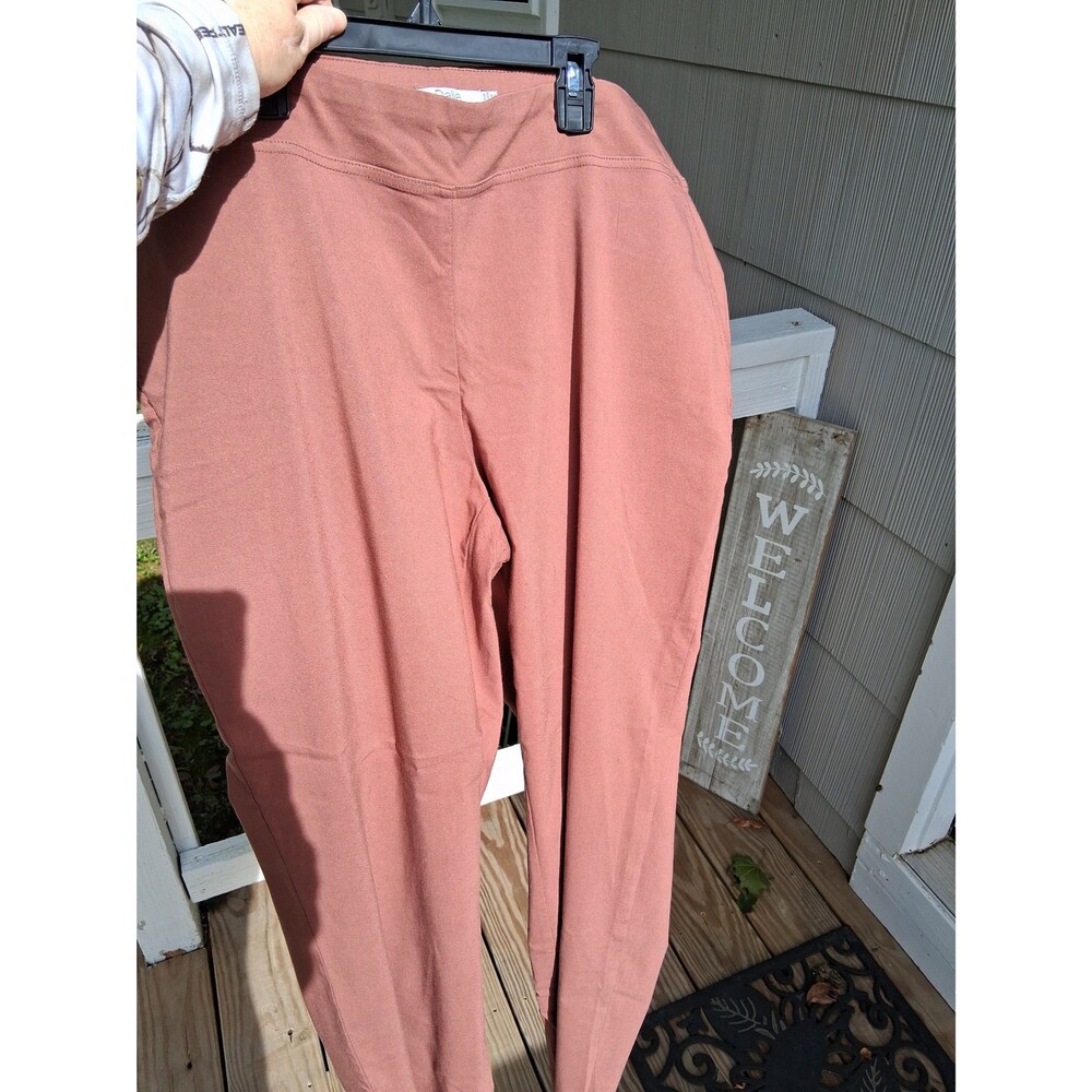 women's jeggings pants 16W Dalia super stretch dusty rose